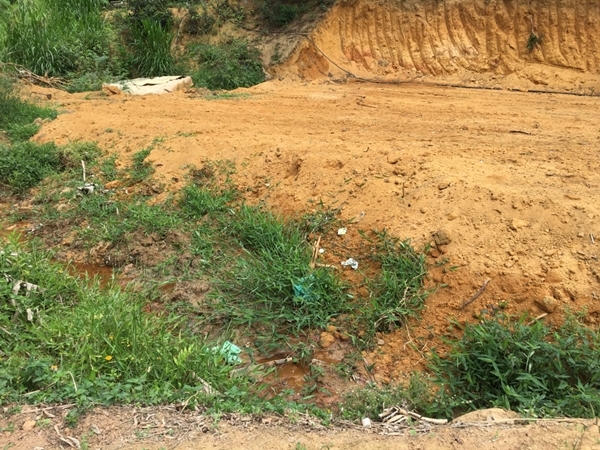 Foto: Polícia Militar Ambiental