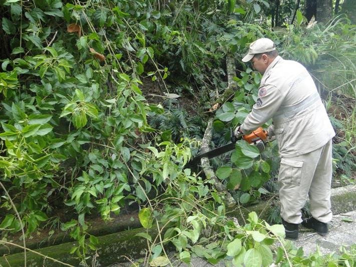 Bombeiros cortam arvores caidas na BR262 em Marechal Floriano 4