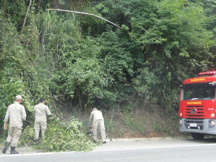 Bombeiros cortam arvores caidas na BR262 em Marechal Floriano 5