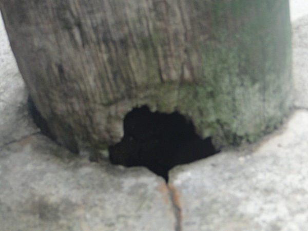 Moradores de Santa Isabel temem por possivel queda de postes 2