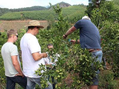 Sitio Andre recebe cerca de 60 pessoas para o Dia de Campo dos Citrus em Marechal Floriano 5