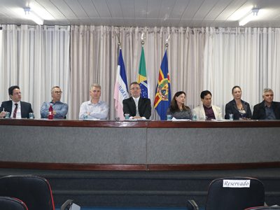 Audiencia debate saude publica em Domingos Martins 4