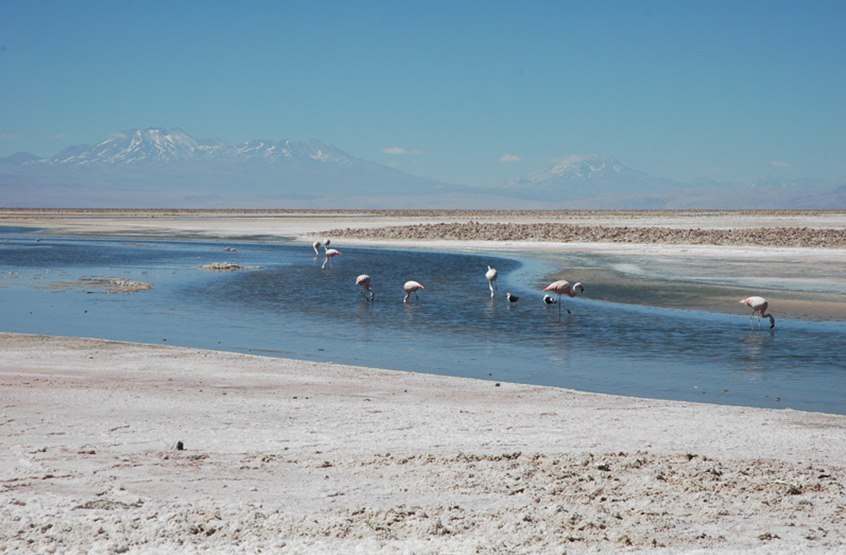 atacama 03