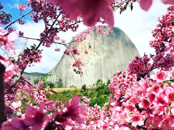 Mais flores e colorido para atrair turistas para as montanhas 02