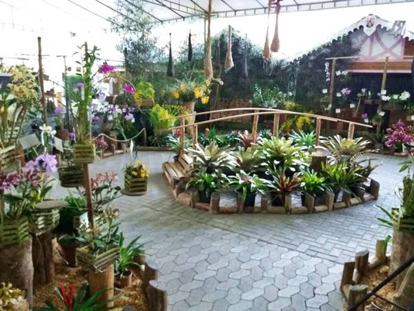 Milhares de flores colorem e perfumam Domingos Martins ate este domingo 02