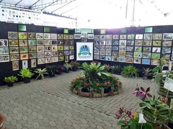 Milhares de flores colorem e perfumam Domingos Martins ate este domingo 03