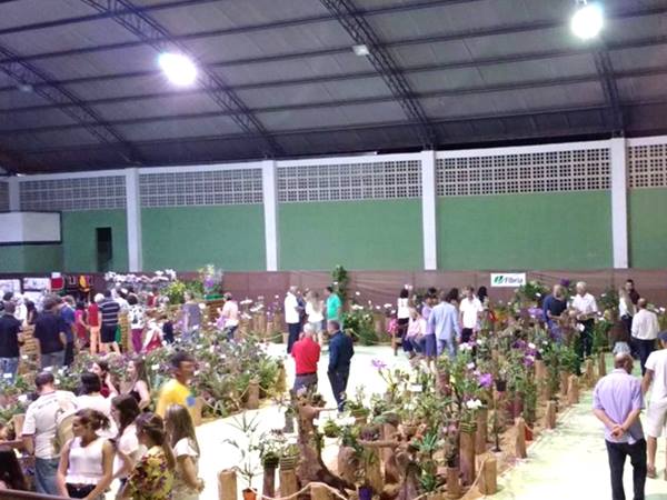 ultimo dia da Exposicao de Orquideas em Marechal Floriano 03