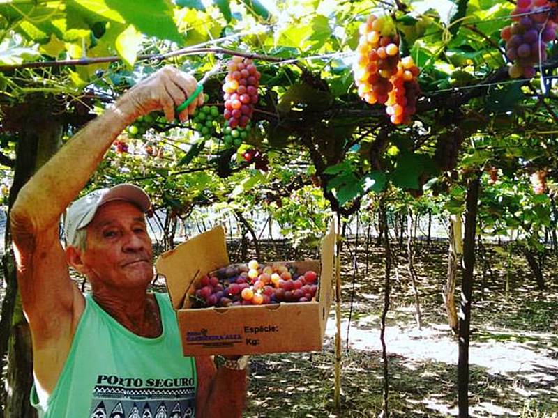Texto: Dirceu de Souza Cetto / Foto: Dirceu de Souza Cetto