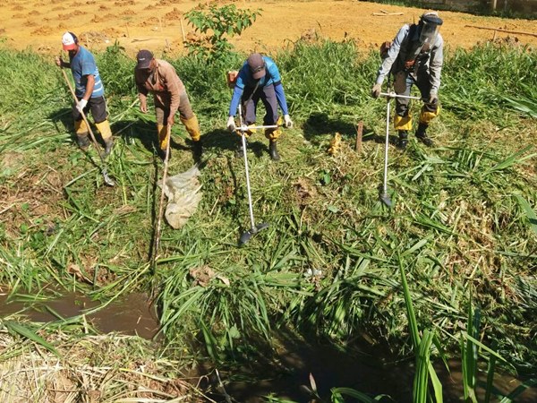 Corrego Batatal recebe limpeza em Marechal Floriano2