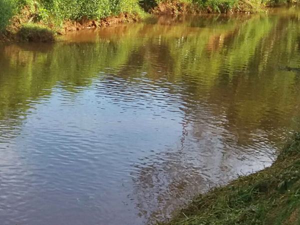 Matagal no Braco Sul Rio Jucu sao removidos 2