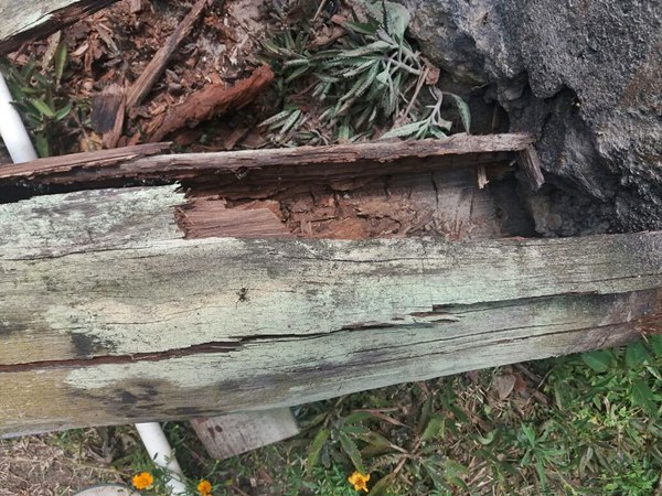 Poste de madeira de energia eletrica desaba sobre casa em Marechal Floriano 3