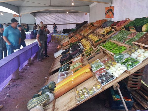 A chuva nao desanima e Festa da Uva e do Vinho e sucesso 4
