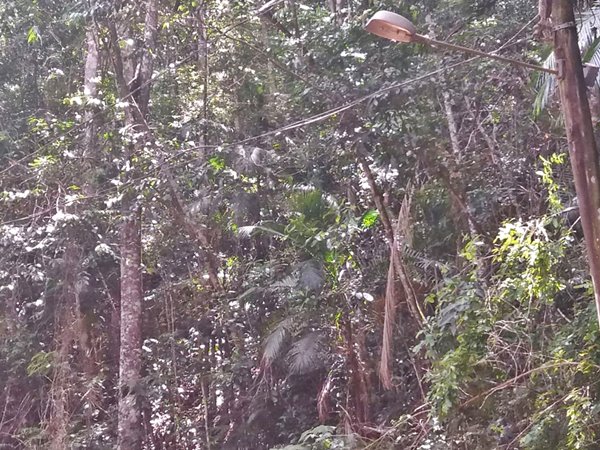 Cabos eletricos que romperam em Marechal Floriano sao recuperados pela EDP 2