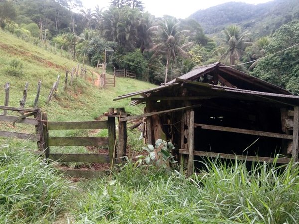 Idosa e morta no quintal de sua casa com golpes de madeira 2