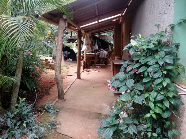 Idosa e morta no quintal de sua casa com golpes de madeira 3