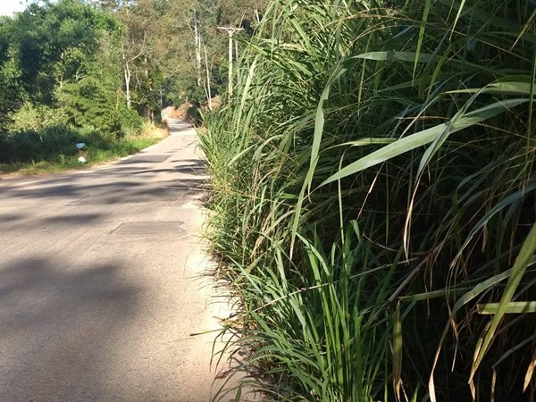 Sem previsao para o inicio de obras condutores reclamam da situacao de estrada em Soido de Cima