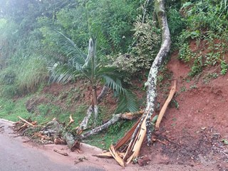 Apos tempestade iniciam se hoje os cortes de galhos e arvores caidos nas vias de Marechal Floriano