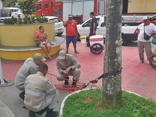 Bombeiros na interacao popular em Marechal Floriano e Domingos Martins