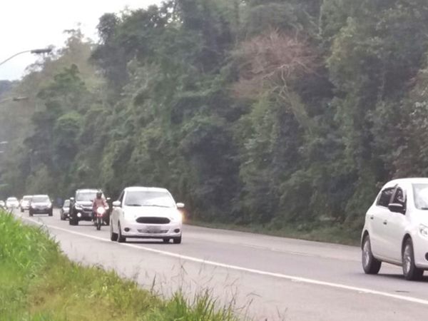 Fim de semana com feriado aumenta o numero de veiculos na BR 262 2