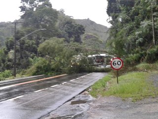 Queda de arvores na BR 262 paralisa trafego em Marechal Floriano e Domingos Martins
