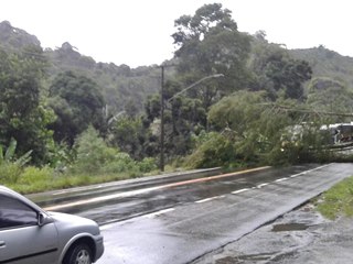 Queda de arvores na BR 262 paralisa trafego em Marechal Floriano e Domingos Martins 3