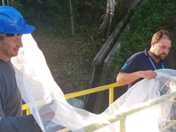 Cesan instala quadros de tela na ETE para evitar ataques dos mosquitos em Marechal Floriano 2