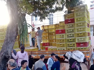 Granja de Santa Maria de Jetibá distribui 10.500 galinhas em Afonso Cláudio