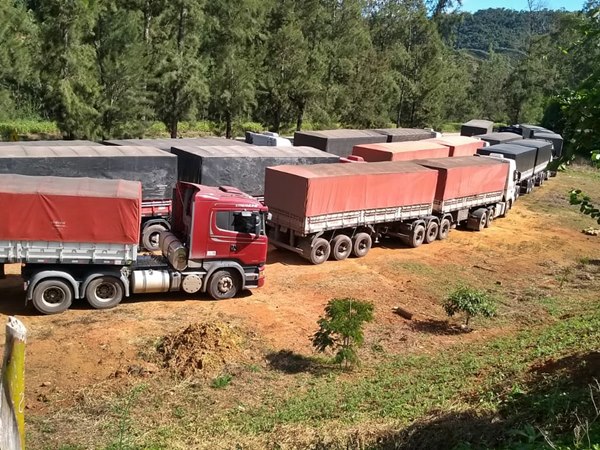 Mais de 30 milhões de aves e suínos podem morrer por falta de ração no Estado