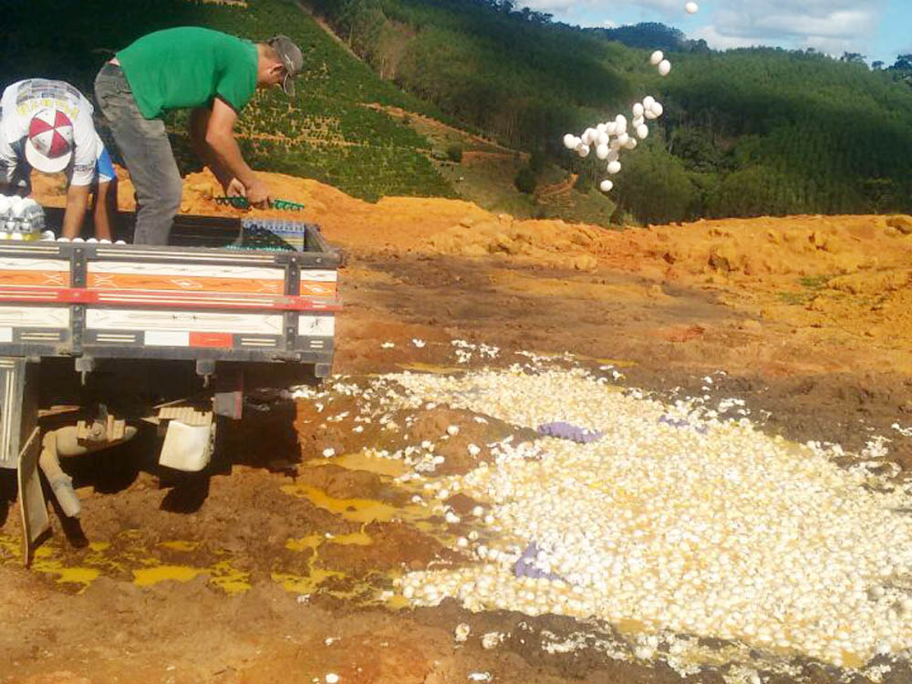 Texto: Julio Huber / Foto: Divulgação