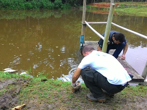 Suspeita de envenenamento de lagoa deixa famílias sem água em Domingos Martins 2