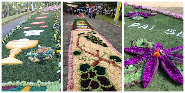 Belezas de tapetes de Corpus Christi encantam visitantes em Marechal Floriano 3