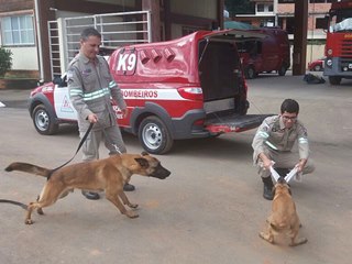 Corpo de Bombeiros de Marechal Floriano adestra cães para salvar vidas 2