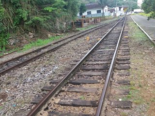 Ferrovia aplica herbicida para acabar com o mato no centro de Marechal Floriano e causa polêmica 2