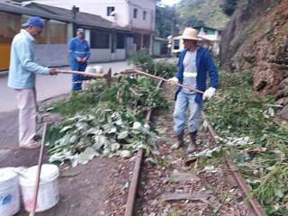 Moradores de Marechal Floriano cortam matagais na linha férrea e prefeitura recolhe