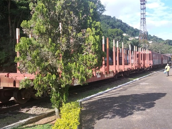Composicao da ferrovia transporta vagoes de Vitoria para Cachoeiro do Itapemirim 2