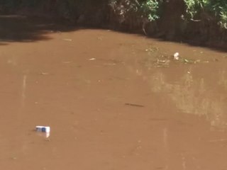 Córregos e rio viram depósito de lixo em Marechal Floriano
