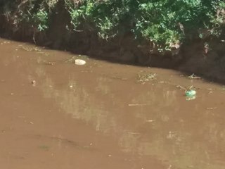 Córregos e rio viram depósito de lixo em Marechal Floriano 2