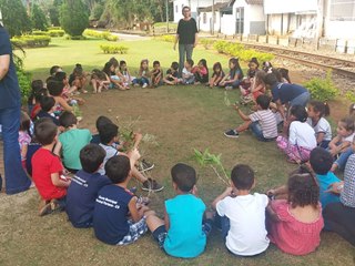 Cidade das Orquídeas Marechal Floriano recebe plantio de mudas da espécie 2