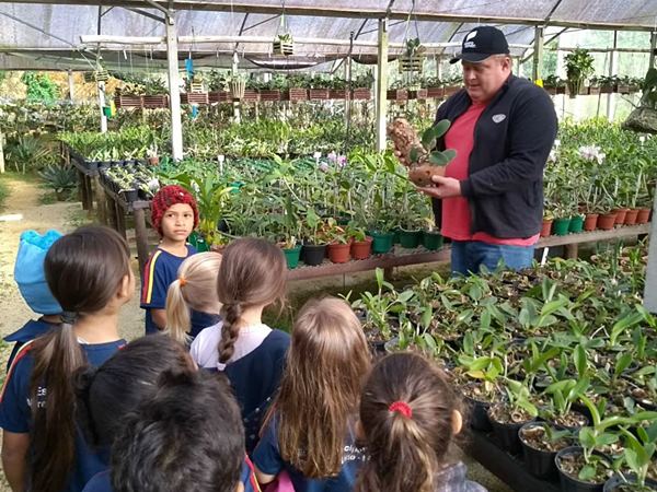 Escolas de Marechal Floriano jA trabalham no Projeto das OrquIdeas 2