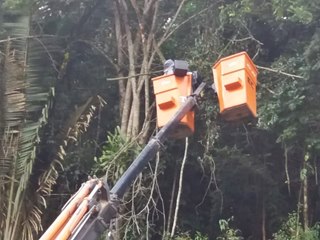 Galhos e troncos perigosos são removidos em Marechal Floriano 2
