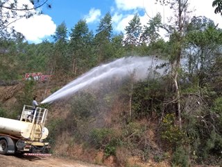 Incêndio em caminhão atinge floresta de eucaliptos em Victor Hugo 2