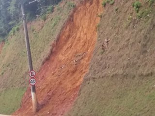Moradores amedrontados com galhos e troncos de árvores caídos numa floresta em Marechal Floriano