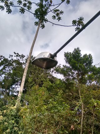 Poste com luminária baixa tem lâmpada destruída por vândalos em Marechal Floriano