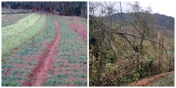 Proprietários de Todos os Santos não conseguem contabilizar prejuízos com tempestade na última semana1