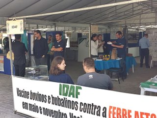 Queimadas e agrotóxicos serão temas de palestras em Domingos Martins