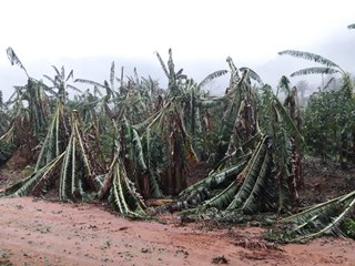 Temporal com queda de granizo provoca prejuízos na Região Serrana 2
