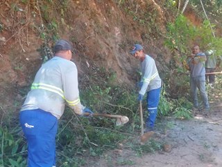 Equipe braçal corta matagais e galhos de árvores no interior de Marechal Floriano 2