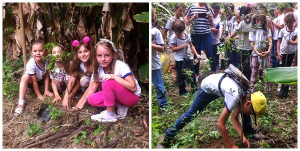 Estudantes plantam arvores em comemoracao ao meio ambiente 02