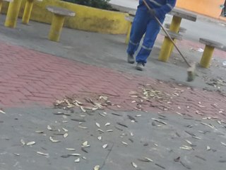 Folhas secas ocupam todo o piso da pracinha de Marechal Floriano