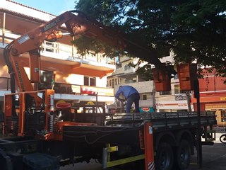 Galhos de árvores que ameaçam romper são cortados na praça de Marechal Floriano 2